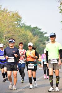 BIB: 42522, 45616, 46970
                            <button type="button" onclick="openModal(10174623)" class="btn btn-primary btn-sm float-right btn-popup" data-toggle="modal" data-target=".modal-high-quality">
                        <i class="fas fa-shopping-cart"></i> Add to Cart
                    </button>
                                            <button type="button" onclick="isThisMe(10174623, true)" class="btn btn-success btn-sm float-right btn-popup btn-isme hidden" data-toggle="tooltip" data-placement="bottom" title="นี่คือรูปของคุณใช่ไหม คลิกที่นี่เพื่อเอาเข้าอัลบั้ม">
                        <i class="fas fa-plus"></i> Add to album
                    </button>
                    <button type="button" onclick="isThisMe(10174623, false)" class="btn btn-warning btn-sm float-right btn-popup btn-isnotme hidden">
                        <i class="fas fa-ban"></i> Remove from album
                    </button>